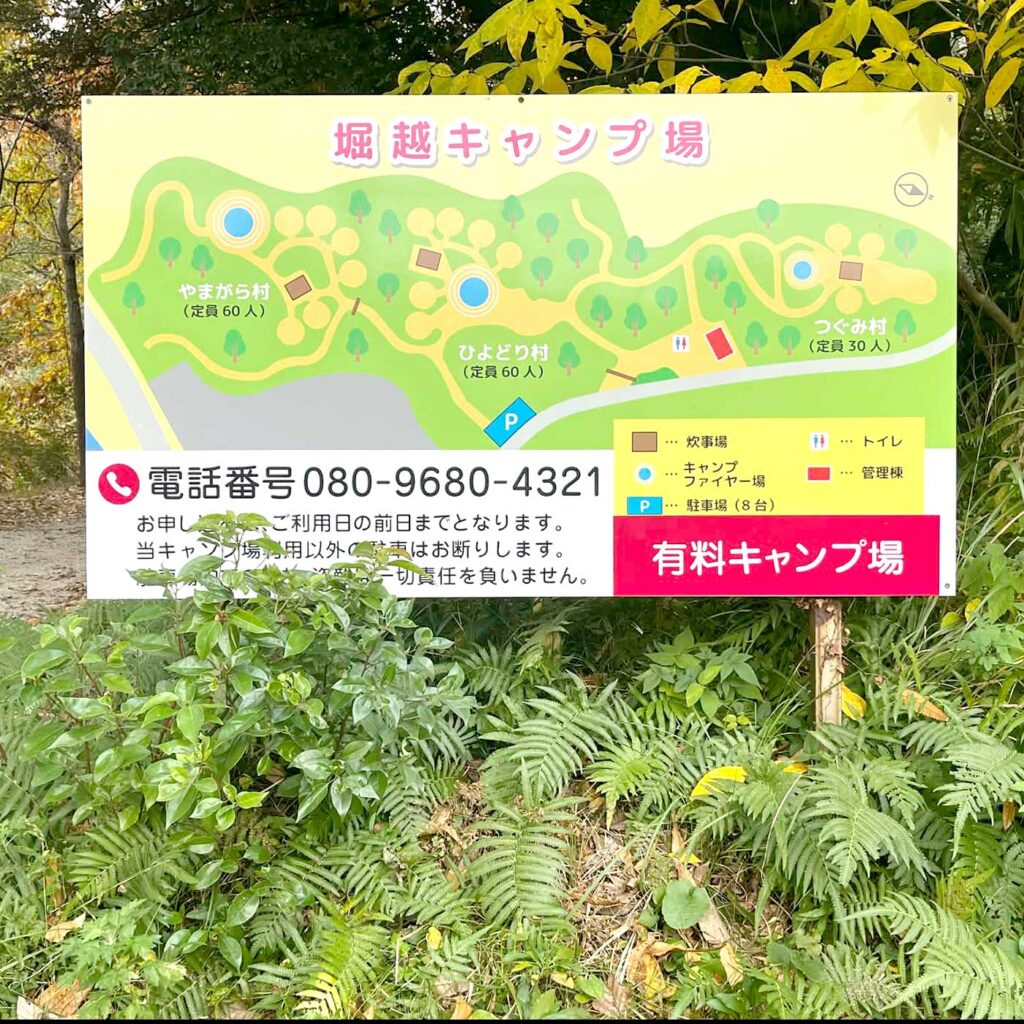 画像コンテンツ