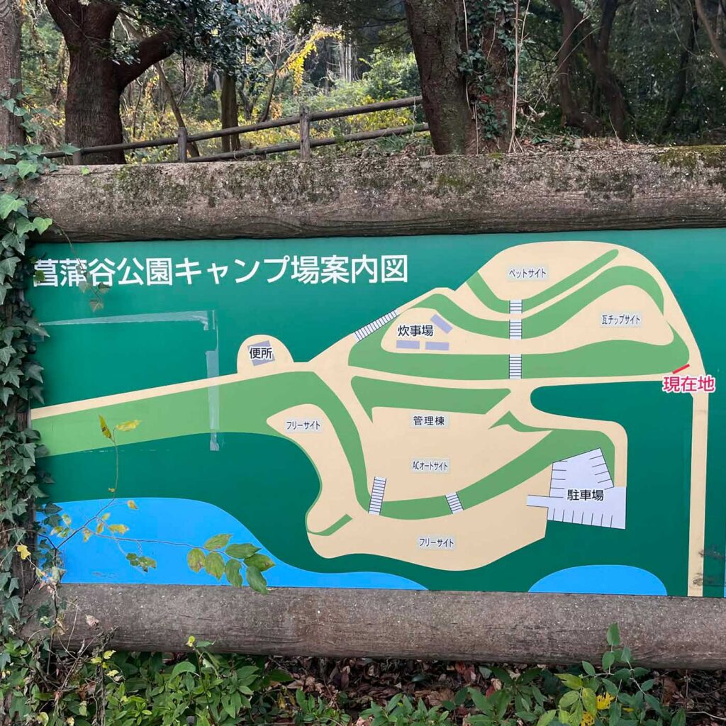 画像コンテンツ