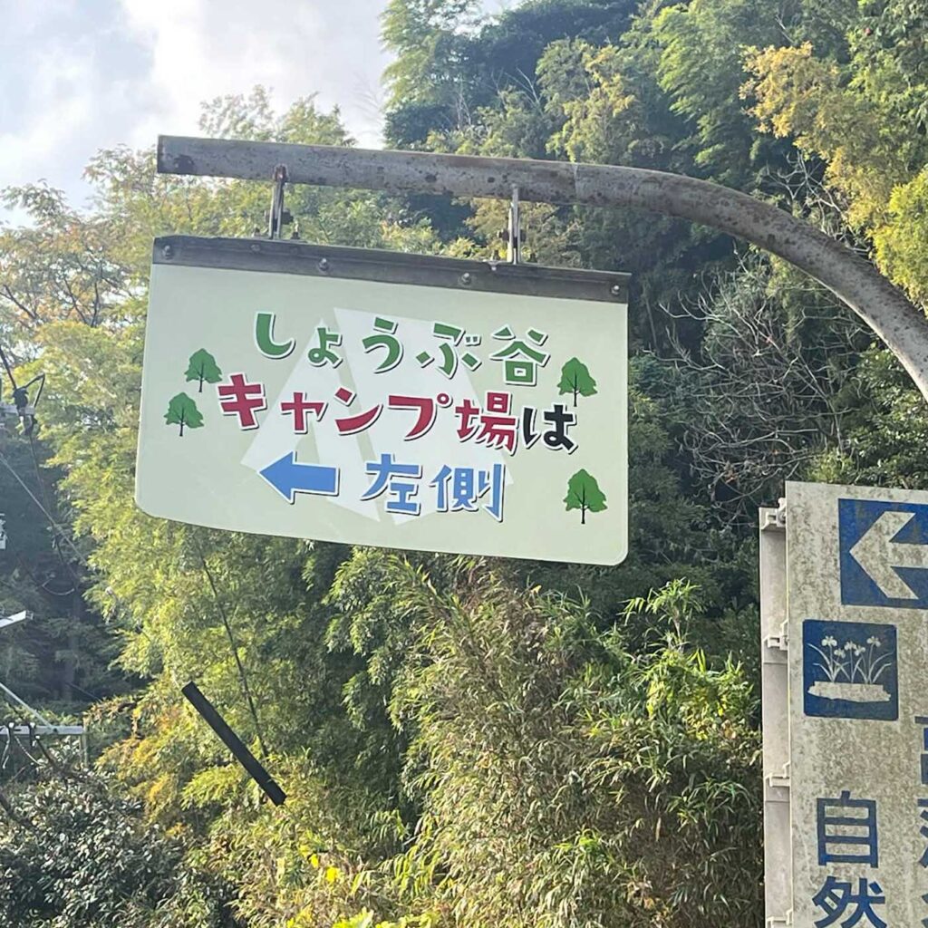 画像コンテンツ